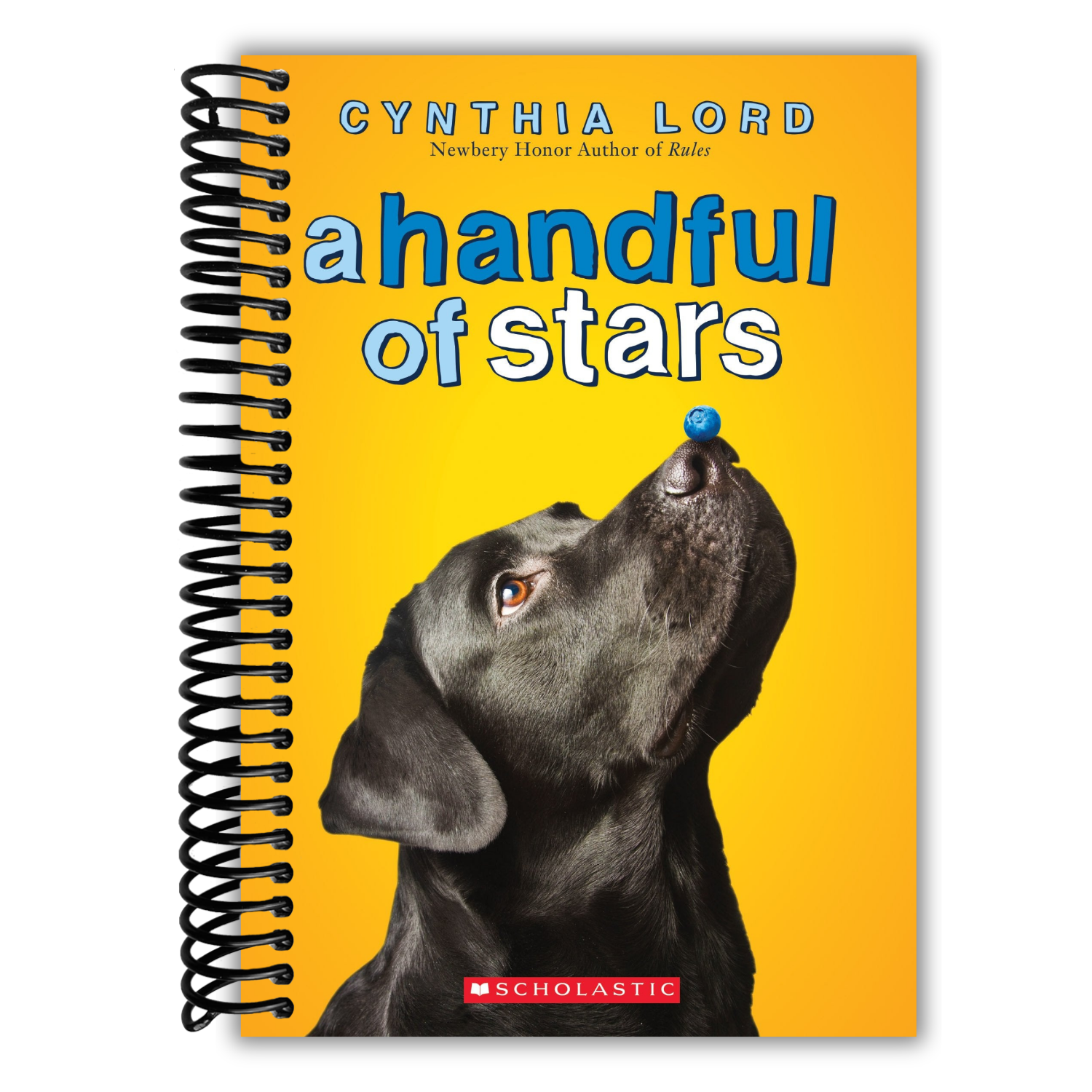 A Handful Of Stars Lay It Flat Publishing Group 