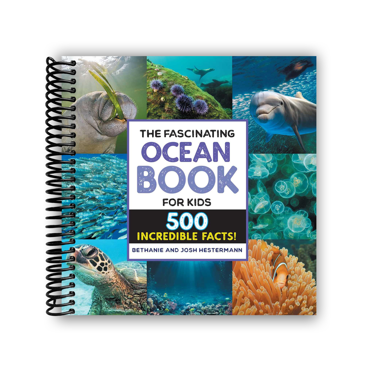 The Fascinating Ocean Book For Kids (Spiral Bound) – Lay It Flat ...