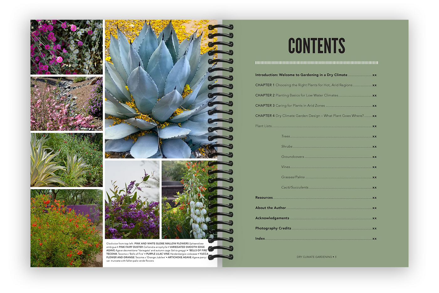Dry Climate Gardening: Growing Beautiful, Sustainable Gardens in Low-Water Conditions (Spiral Bound)