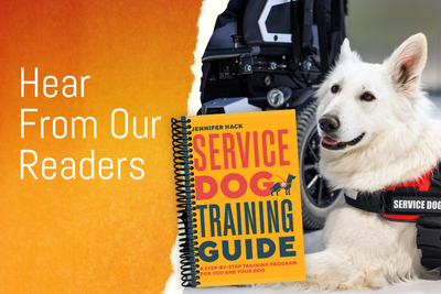 Meet Fred: From Battlefield to Backyard - A Veteran's Journey with His Four-Legged Partner