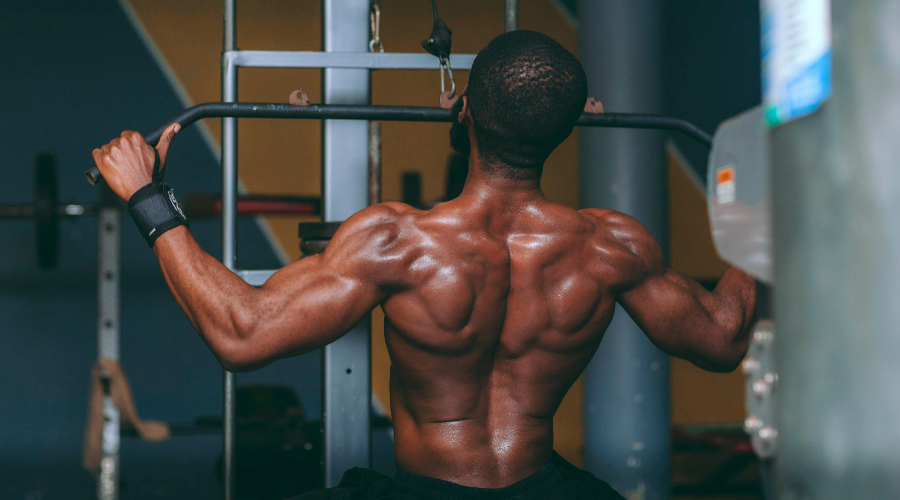 Exercise - Bodybuilding