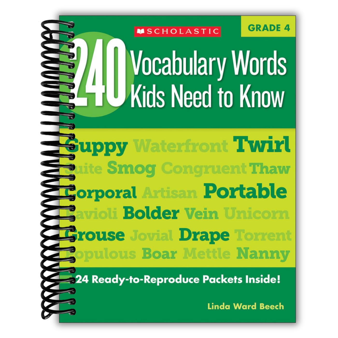240 Vocabulary Words Kids Need to Know, Grade 4: 24 Ready-to-reproduce Packets That Make Vocabulary Building Fun & Effective
