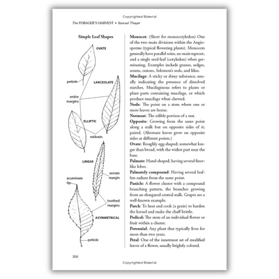 The Forager's Harvest: A Guide to Identifying, Harvesting, and Preparing Edible Wild Plants (Spiral Bound)