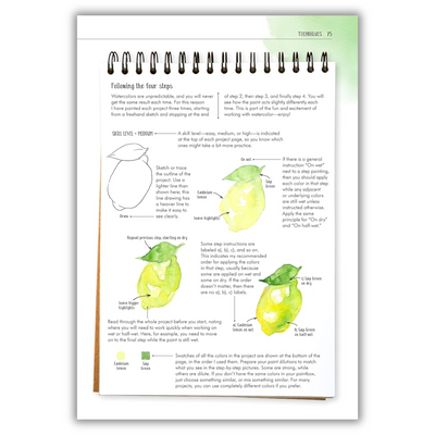 Watercolor Success in Four Steps: 150 Skill-Building Projects to Paint (Spiral Bound)