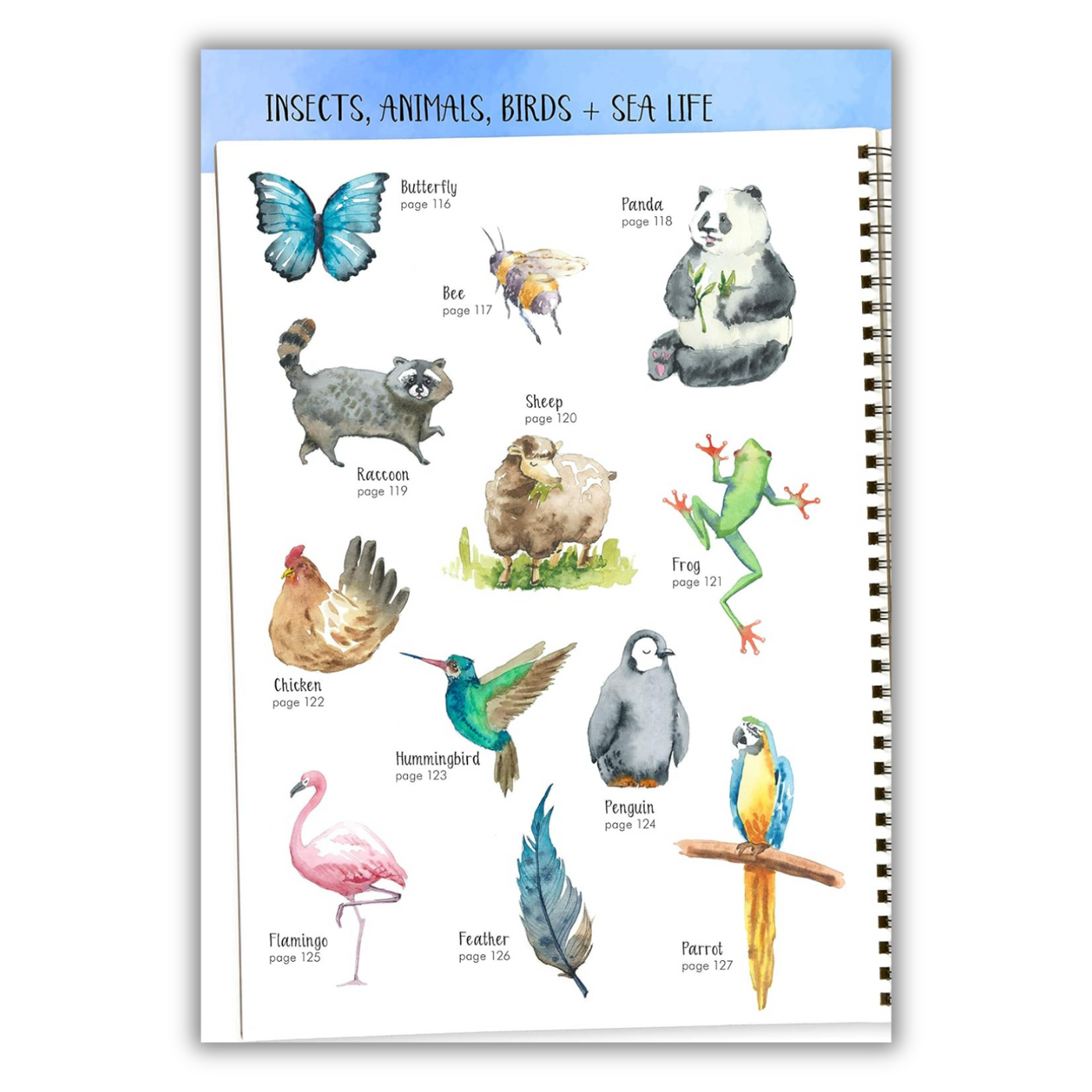 Watercolor Success in Four Steps: 150 Skill-Building Projects to Paint (Spiral Bound)