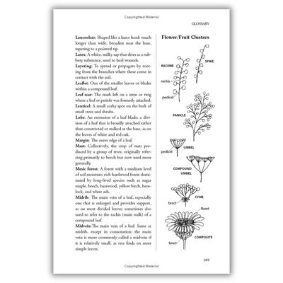 The Forager's Harvest: A Guide to Identifying, Harvesting, and Preparing Edible Wild Plants (Spiral Bound)