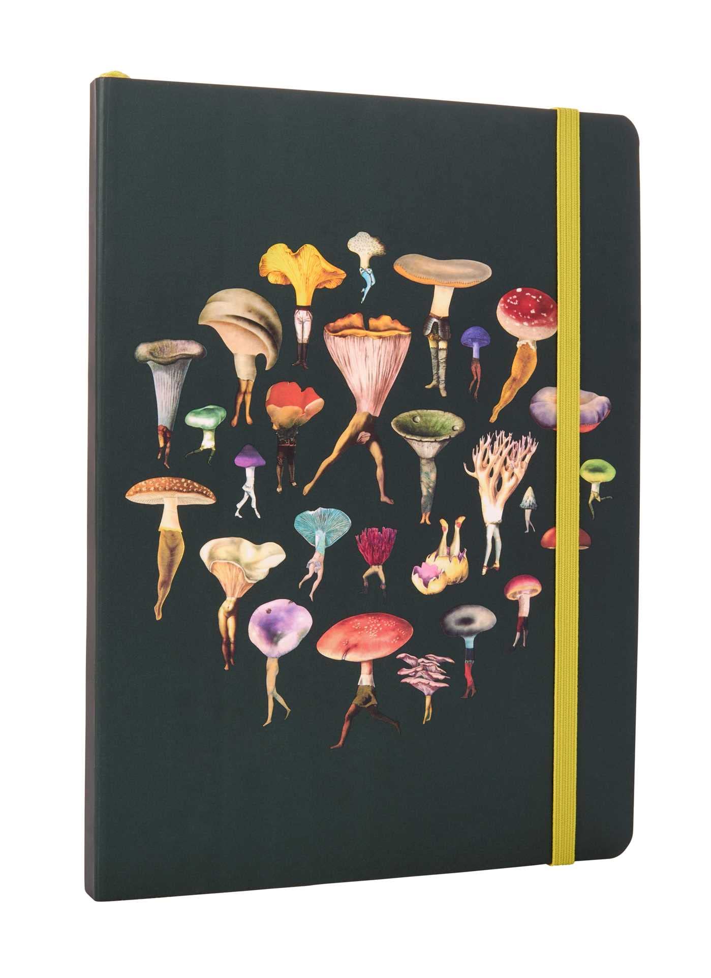 Art of Nature: Fungi Softcover Notebook: (Gifts for Mushroom Enthusiasts and Nature Lovers, Nature Journal, Nature Notebook, Journals for Hikers) (Fantastic Fungi)