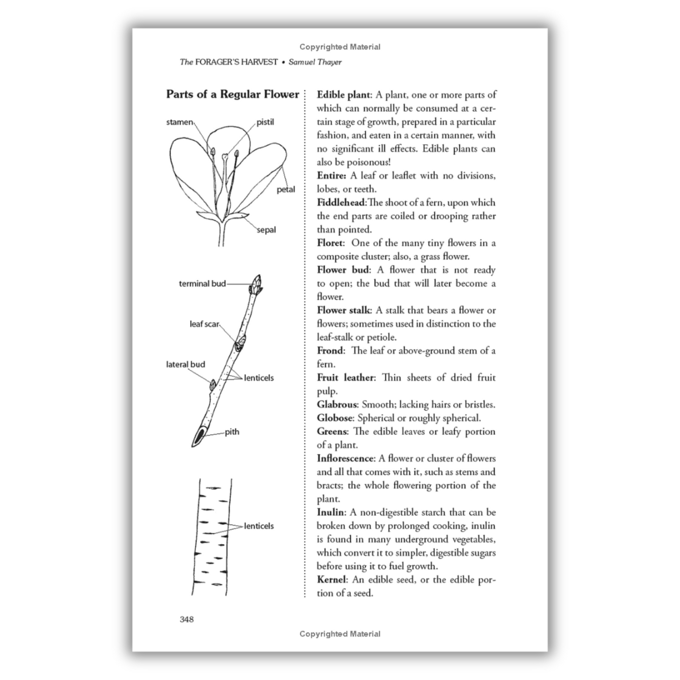 The Forager's Harvest: A Guide to Identifying, Harvesting, and Preparing Edible Wild Plants (Spiral Bound)