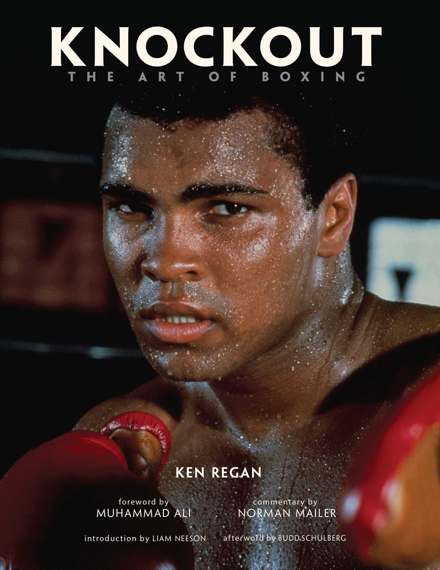 Knott Boxing Knockout: The Art of Boxing – Lay it Flat Publishing Group