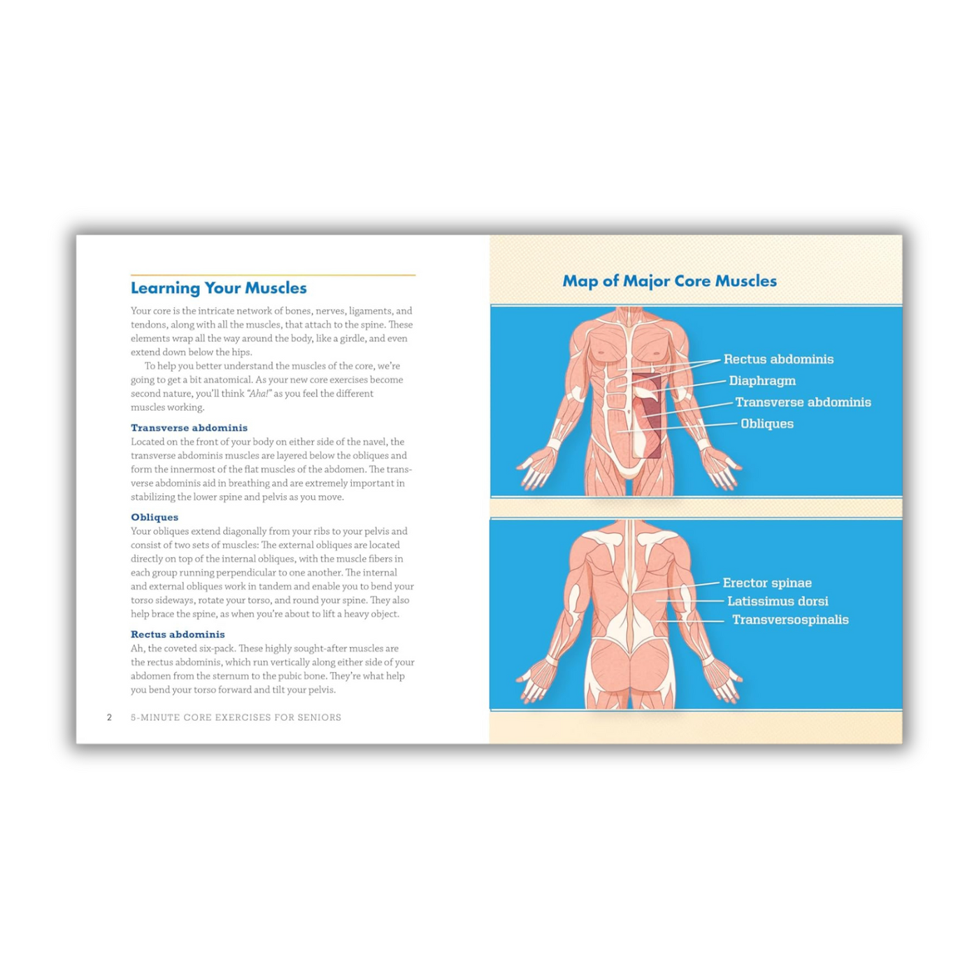 inside page of 5-Minute Core Exercises for Seniors