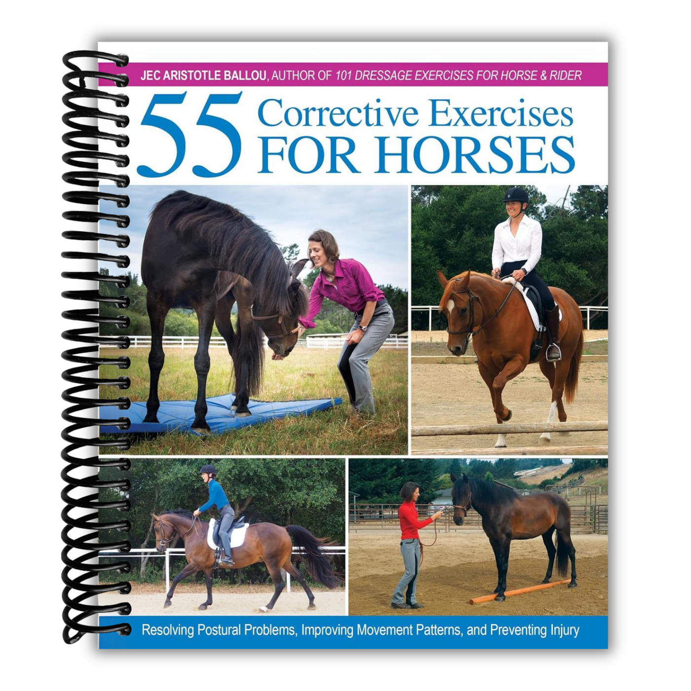 Front cover of 55 Corrective Exercises for Horses