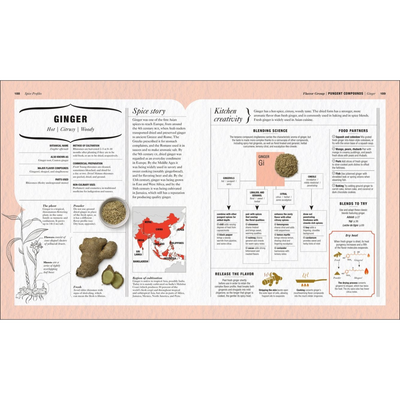 The Science of Spice: Understand Flavor Connections and Revolutionize Your Cooking (Spiral Bound)