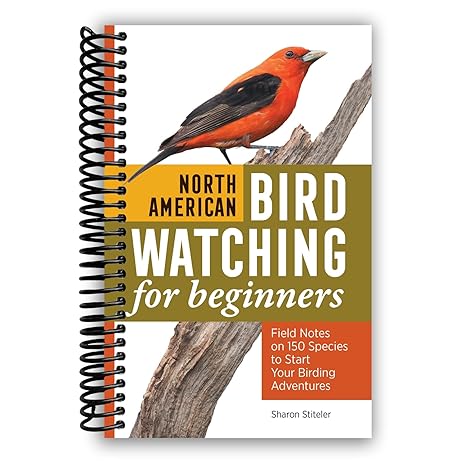 North American Bird Watching for Beginners (Spiral Bound)