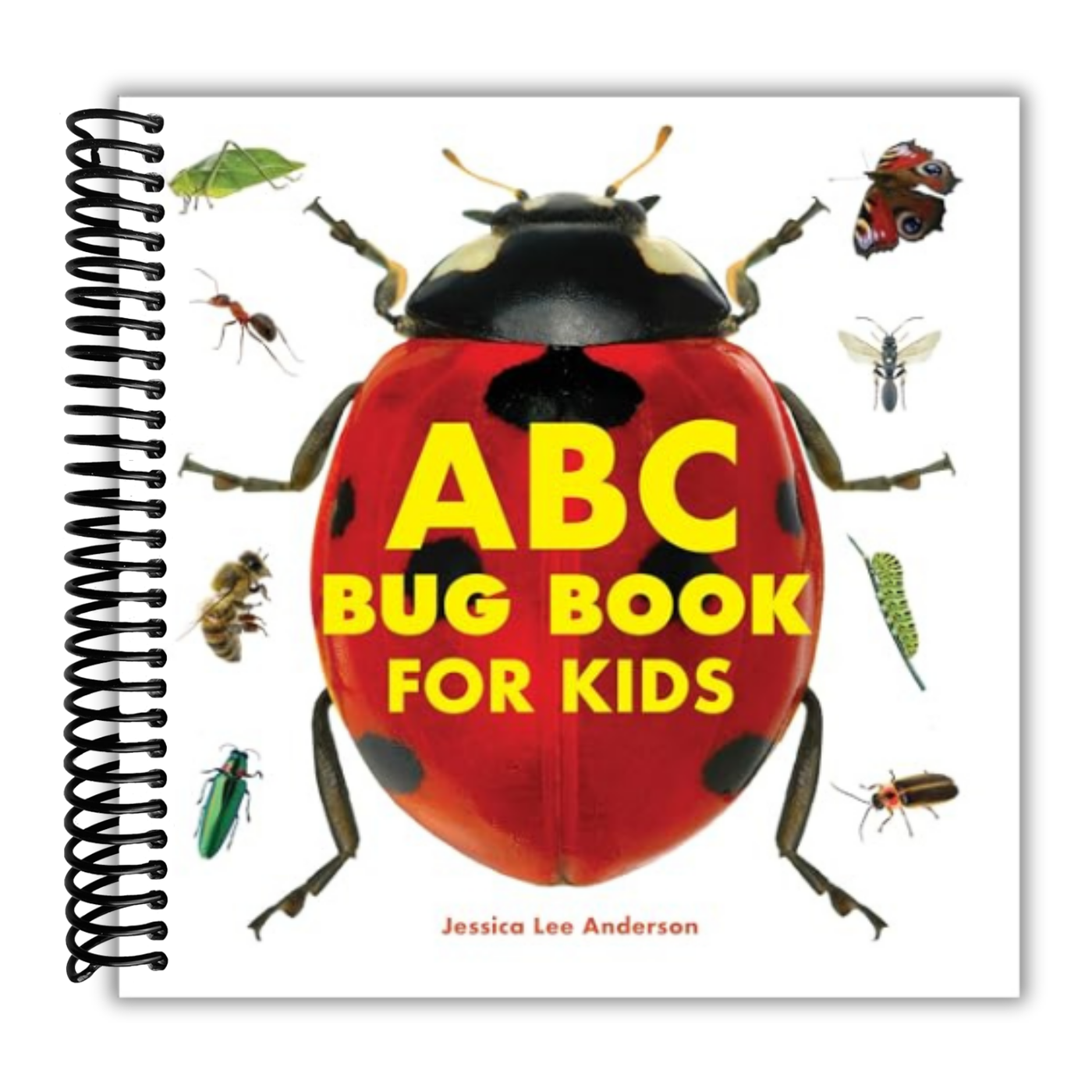 ABC Bug Book for Kids (Spiral Bound)