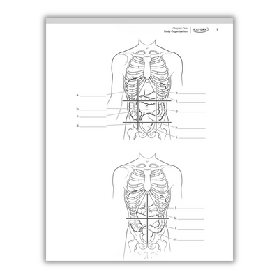 inside page of anatomy coloring book