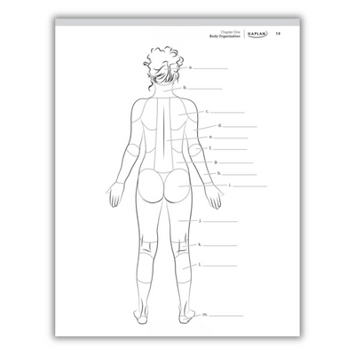 inside page of anatomy coloring book