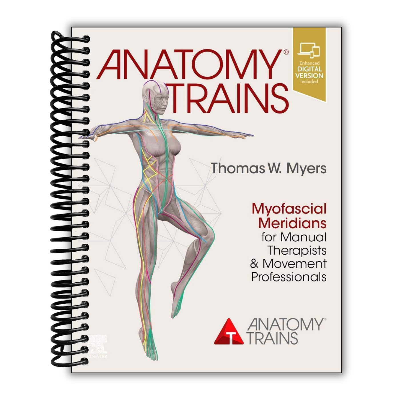 Anatomy Trains: Myofascial Meridians for Manual Therapists and Movement Professionals, 4th Edition (Spiral Bound)