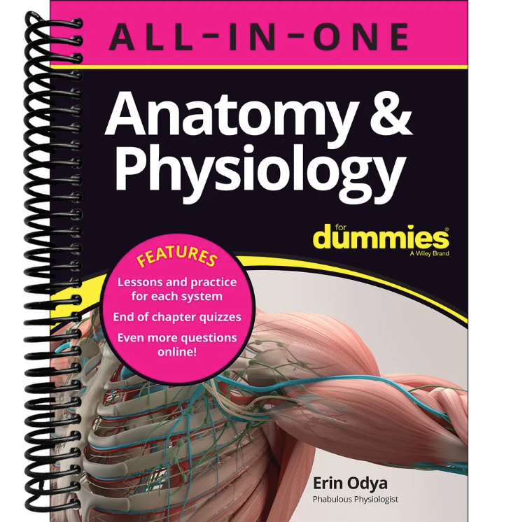 Anatomy & Physiology All-in-One For Dummies (+ Chapter Quizzes Online)