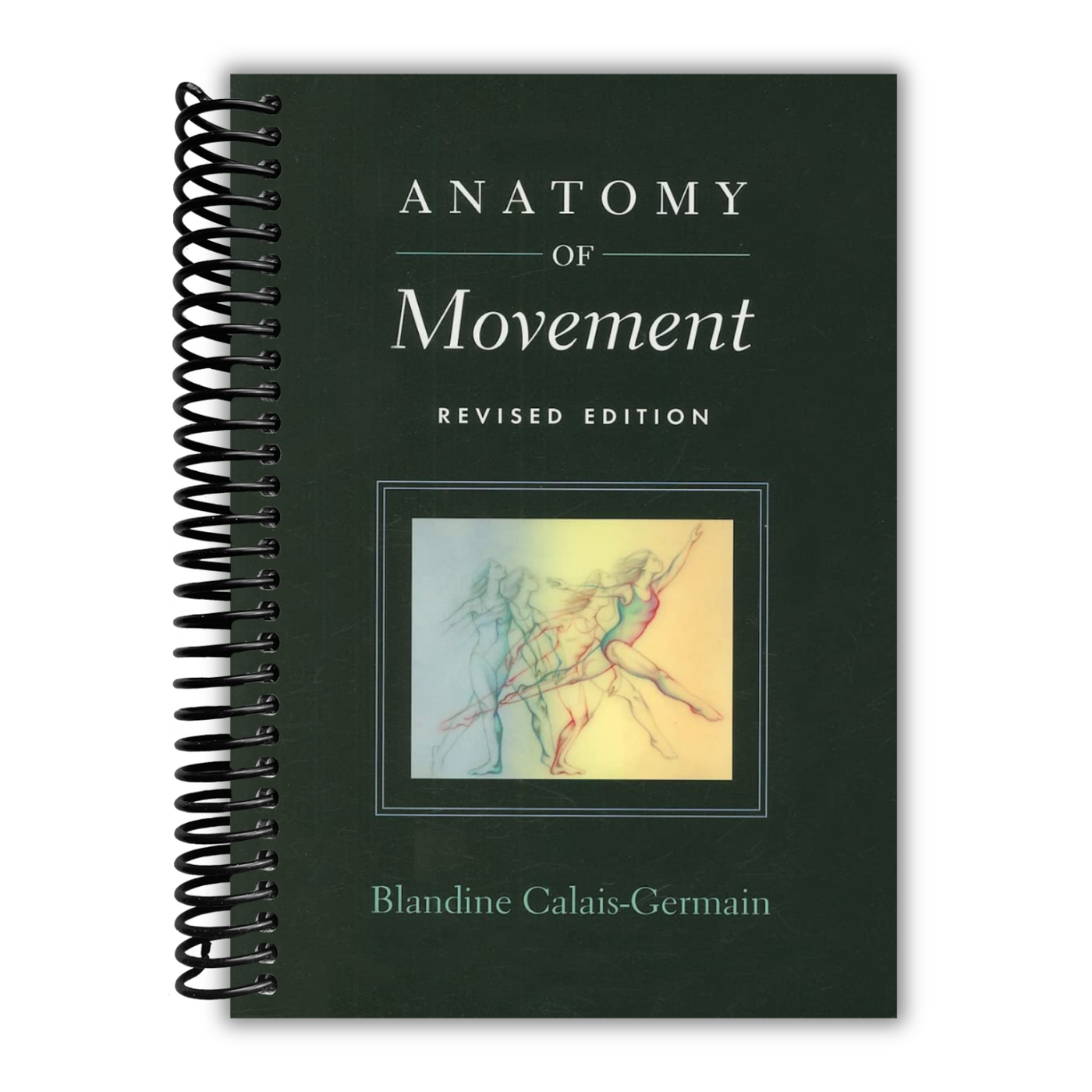 front cover of Anatomy of Movement