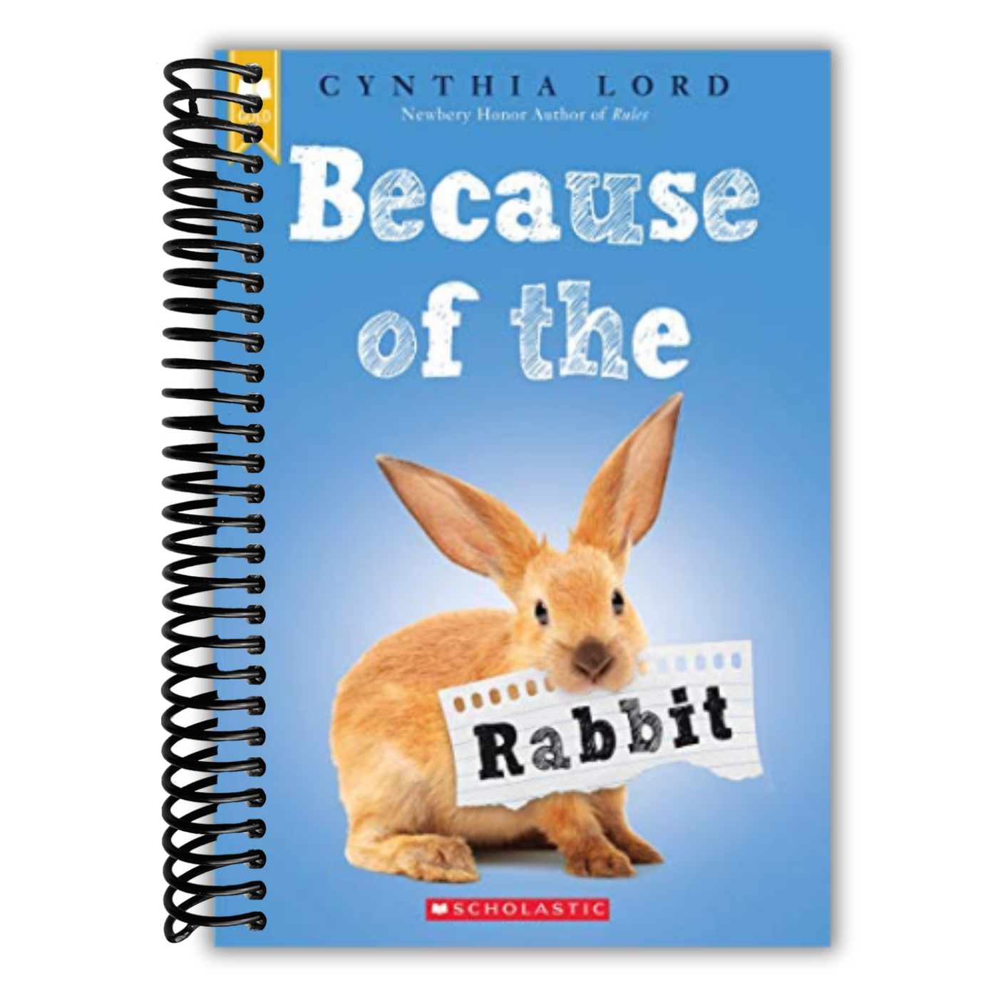Because of the Rabbit (Scholastic Gold)