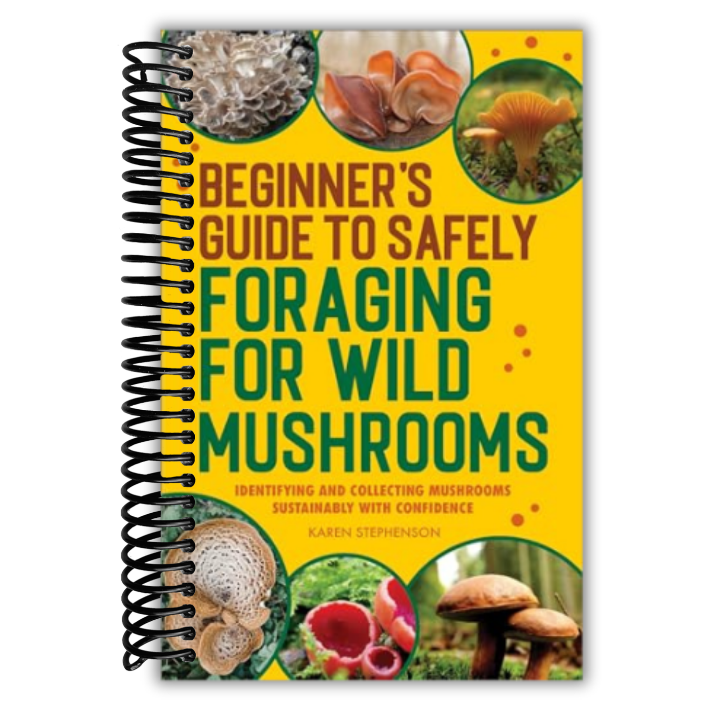 Beginner's Guide to Safely Foraging for Wild Mushrooms: Identifying and Collecting Mushrooms Sustainably with Confidence
