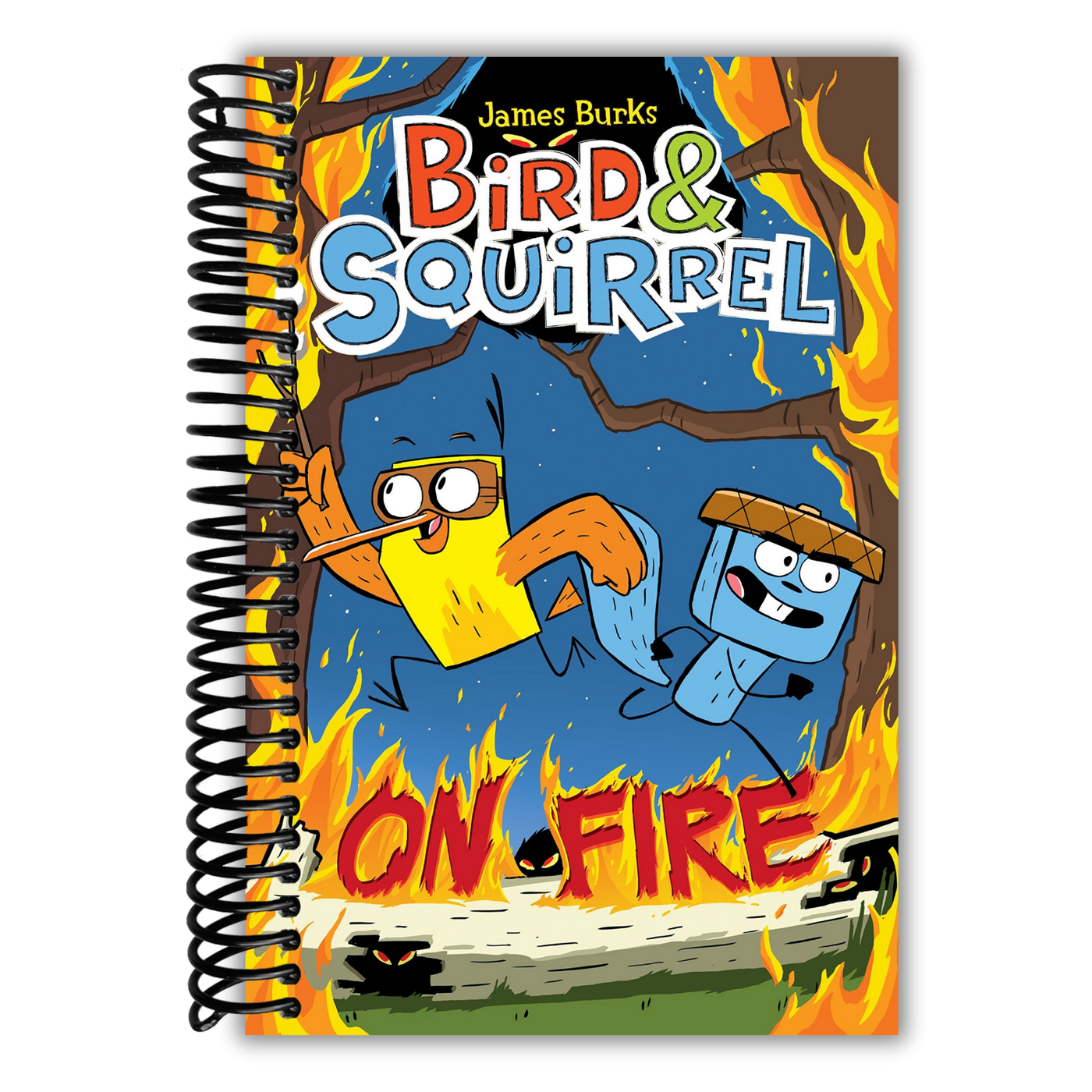 Bird & Squirrel On Fire: A Graphic Novel (Bird & Squirrel #4)