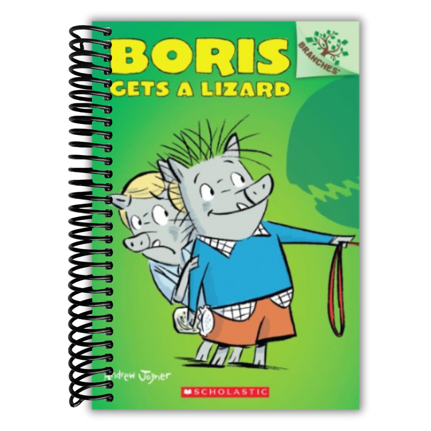 Boris Gets a Lizard: A Branches Book (Boris #2) (2)