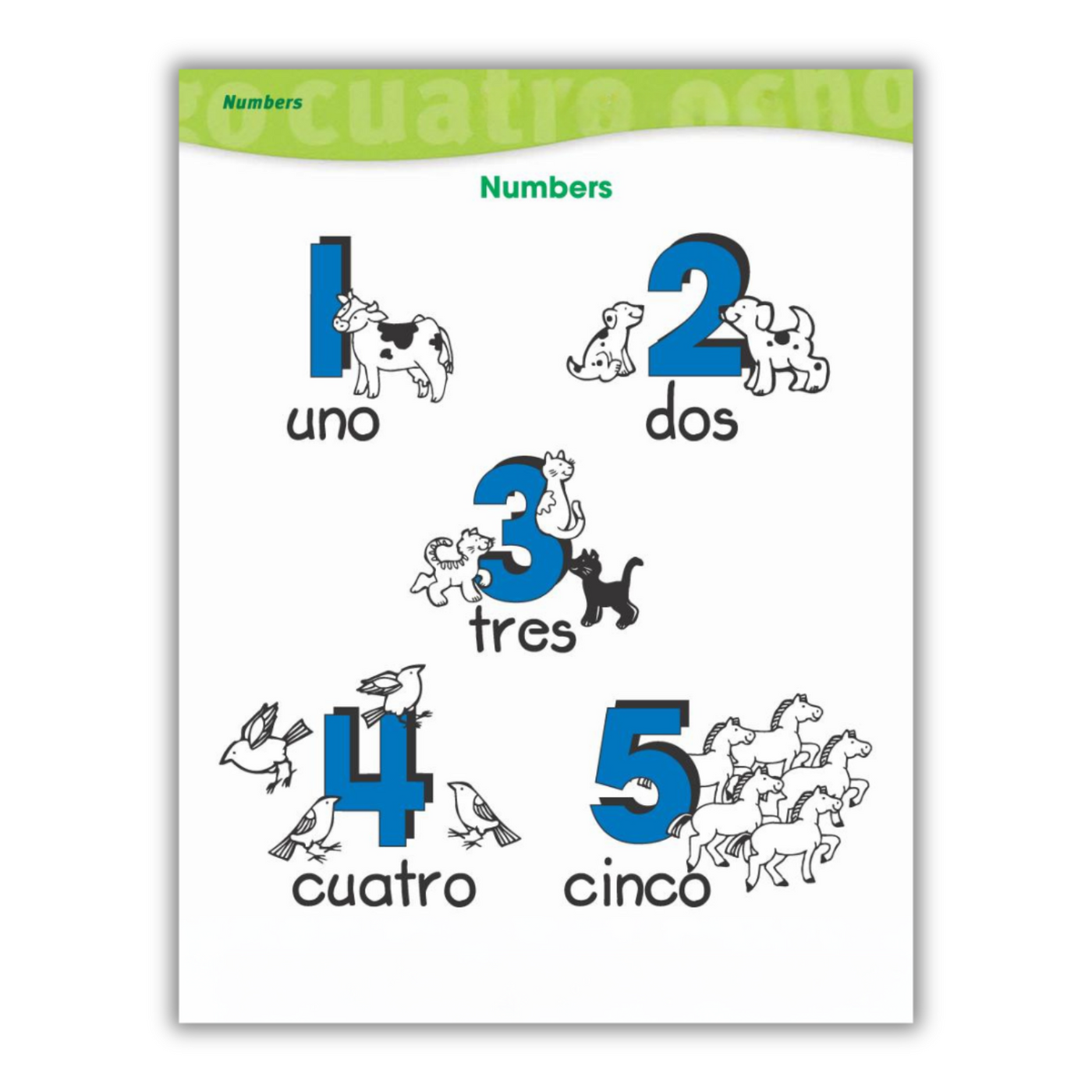 Counting in Spanish from 1 to 5