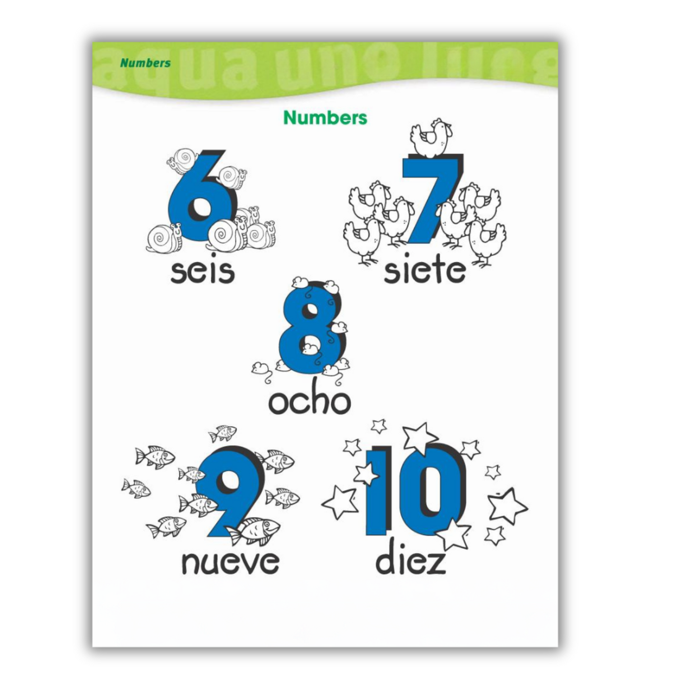 Counting in Spanish from 6 to 10