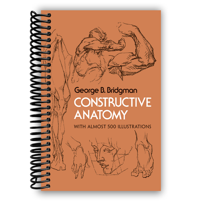 Front cover of Constructive Anatomy