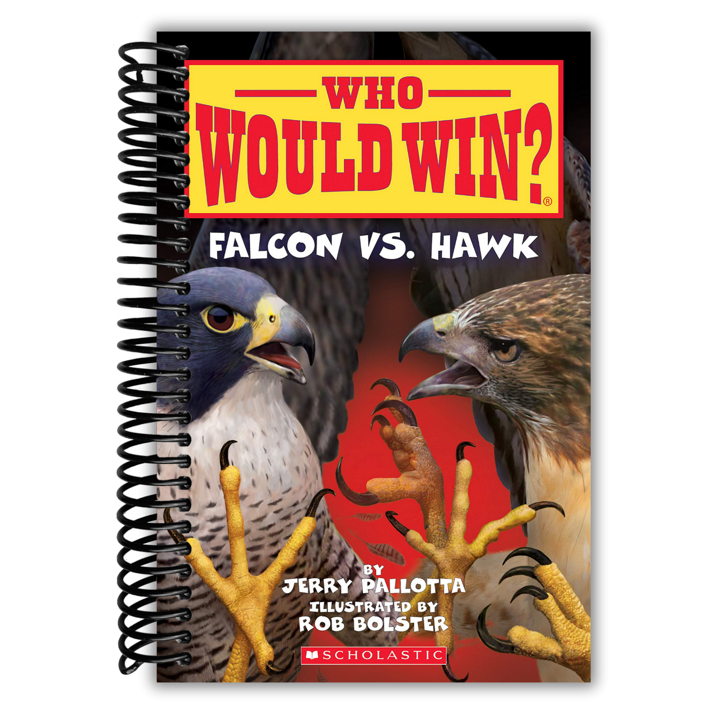 Falcon vs. Hawk (Who Would Win?) (23)