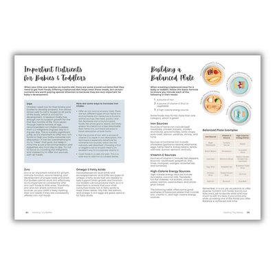 Pages 24 to 25: Important Nutrients for Babies and Toddlers & Building a Balanced Plate