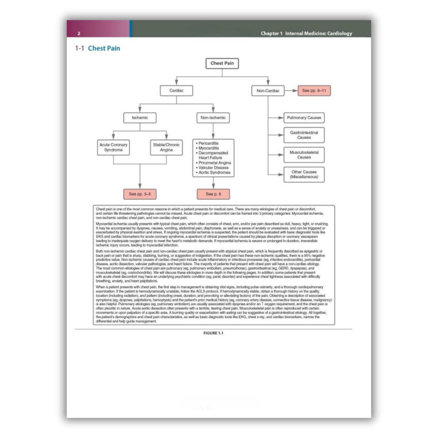 Page 2: Cardiac or Non-Cardiac Chest Pain