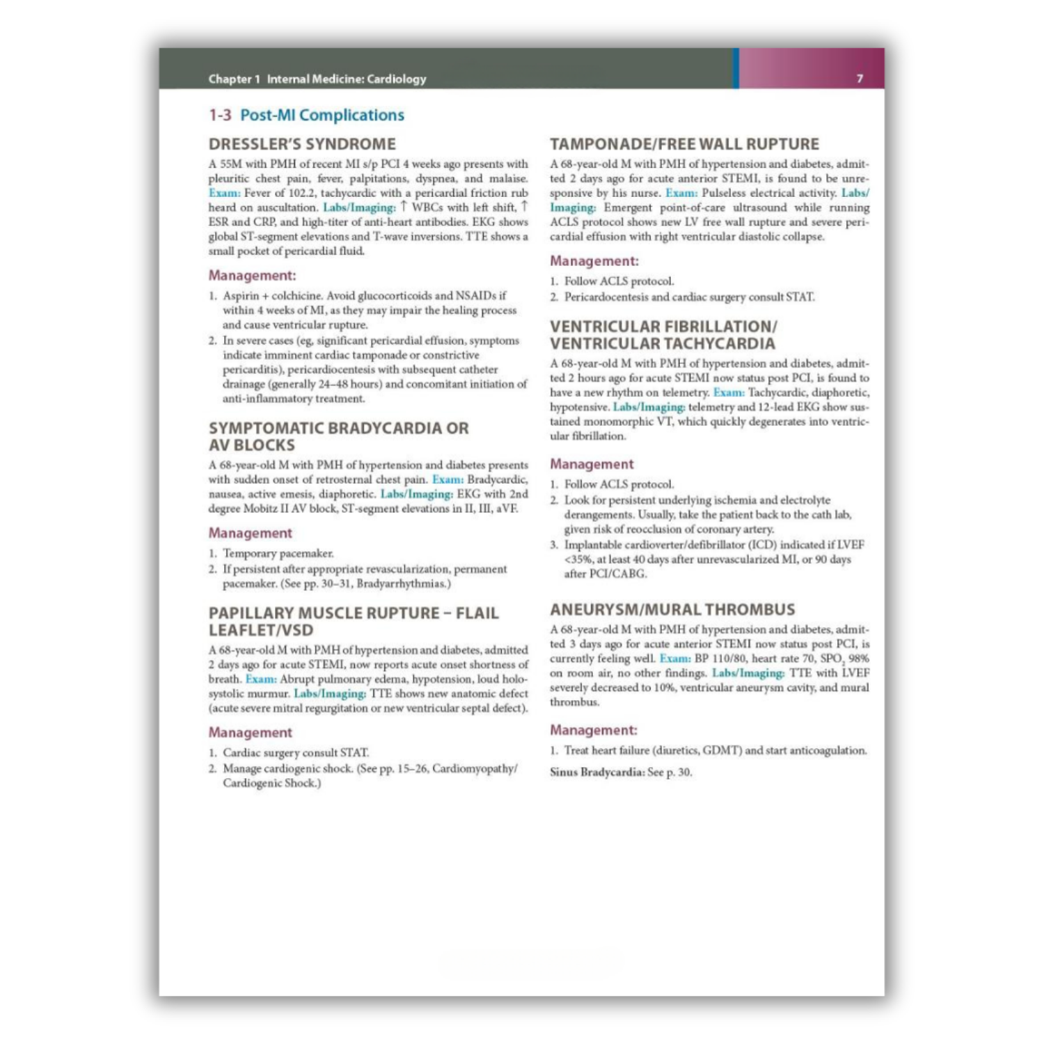 First Aid Algorithm First Aid Clinical Algorithms for the USMLE Step 2 CK (Spiral Bound ...