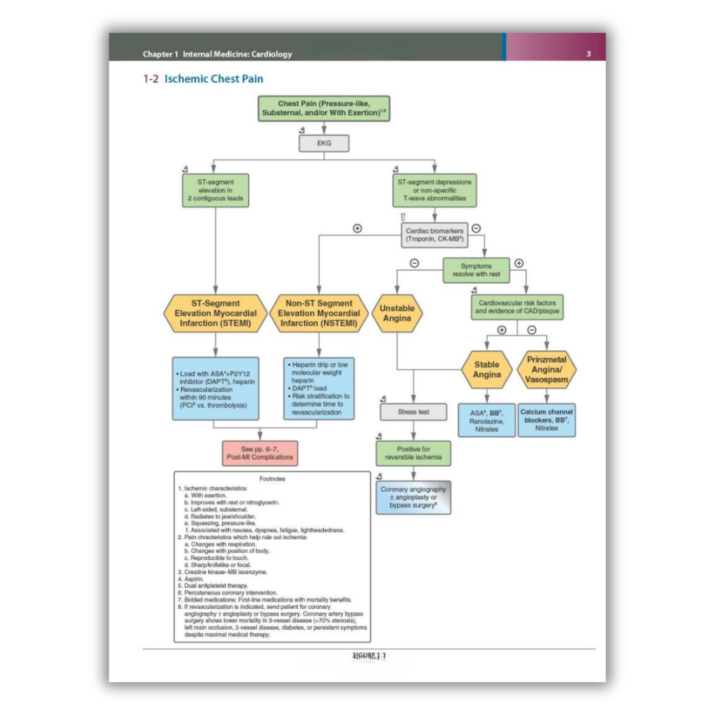 Page 3: Ischemic Chest Pain