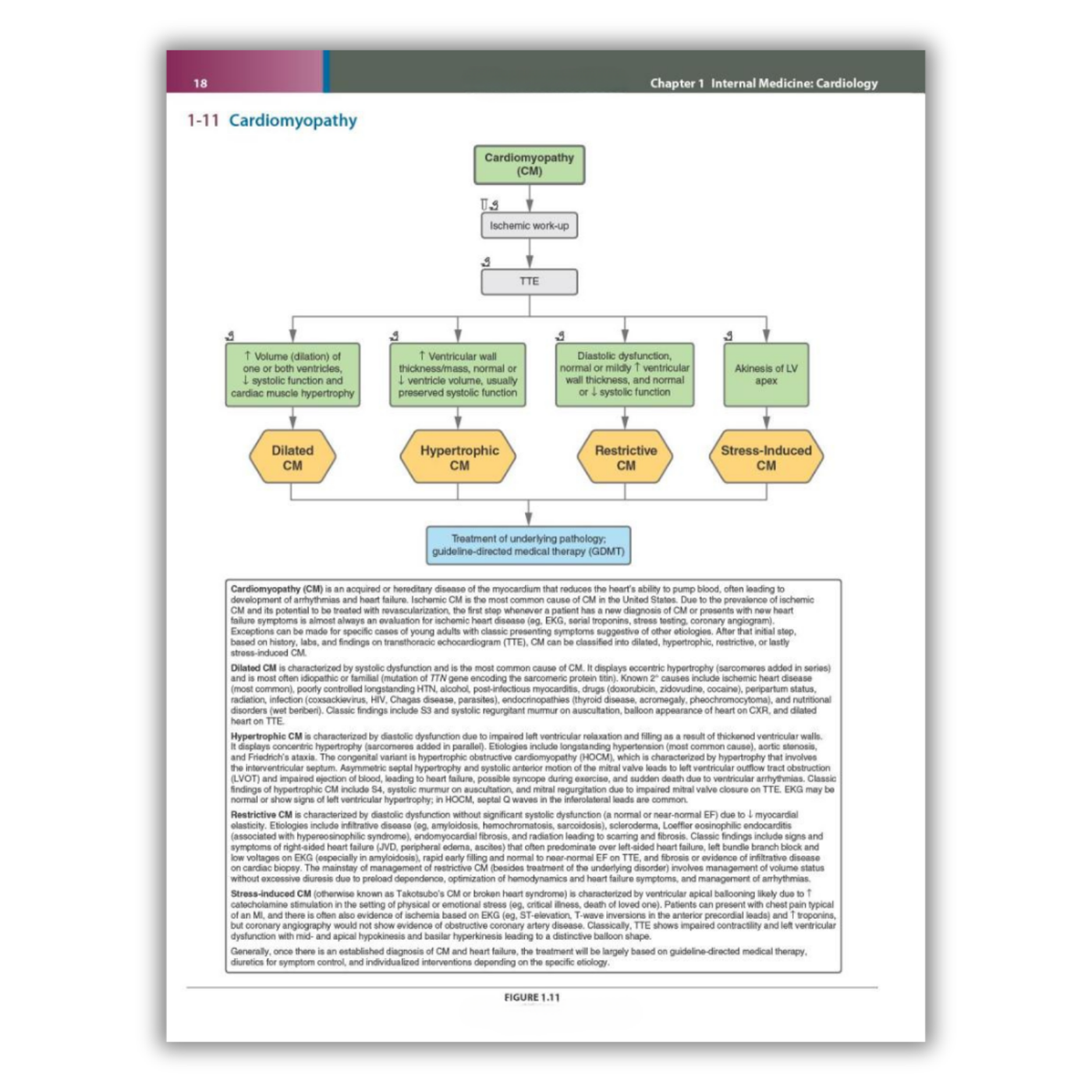 Page 18: Cardiomyopathy