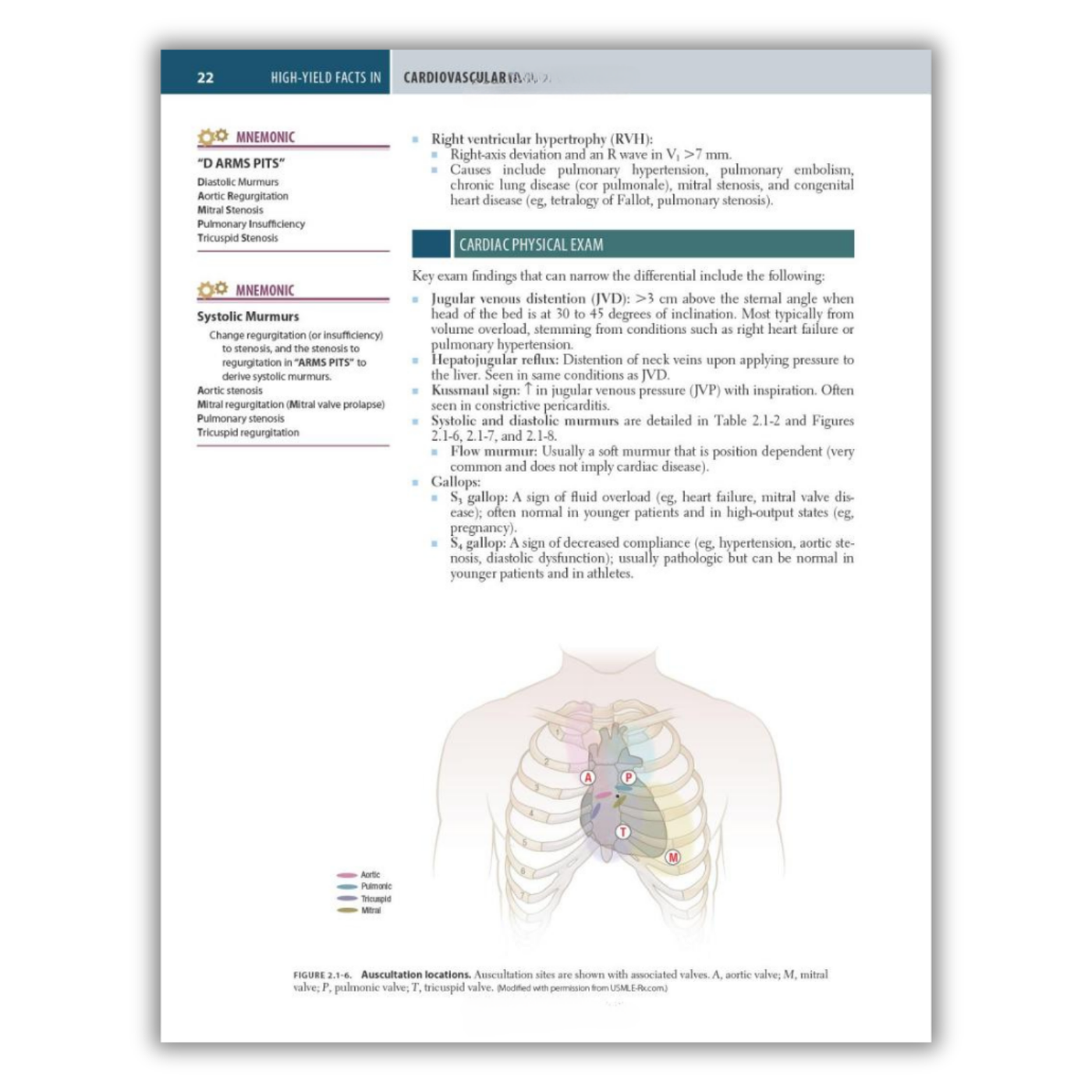 Page 22: Cardiac Physical Exam