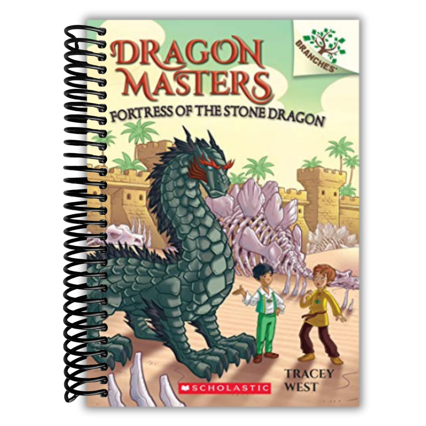 Fortress Of The Stone Dragon: A Branches Book (Dragon Masters #17)