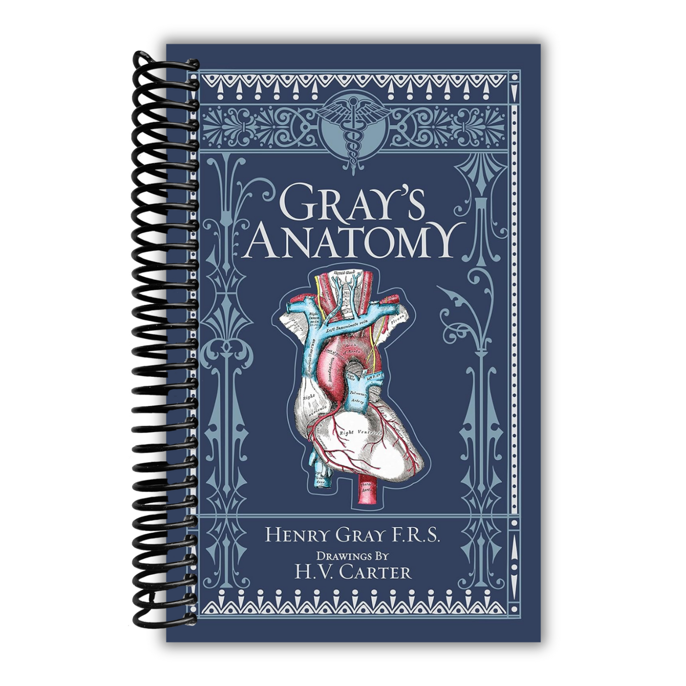 front cover of Gray's Anatomy