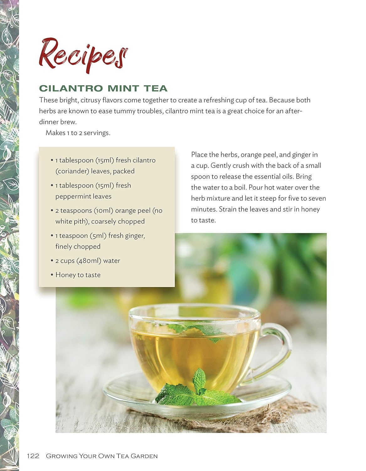 Cilantro Mint Tea