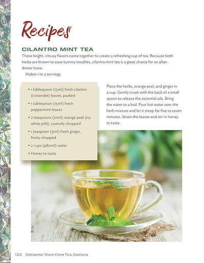 Cilantro Mint Tea
