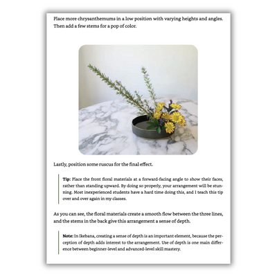 Inspired Ikebana: Modern Design Meets the Ancient Art of Japanese Flower Arrangement (Spiral Bound))