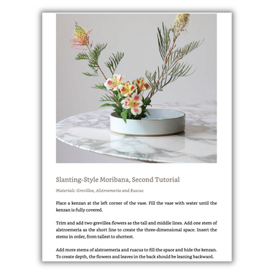 Inspired Ikebana: Modern Design Meets the Ancient Art of Japanese Flower Arrangement (Spiral Bound))