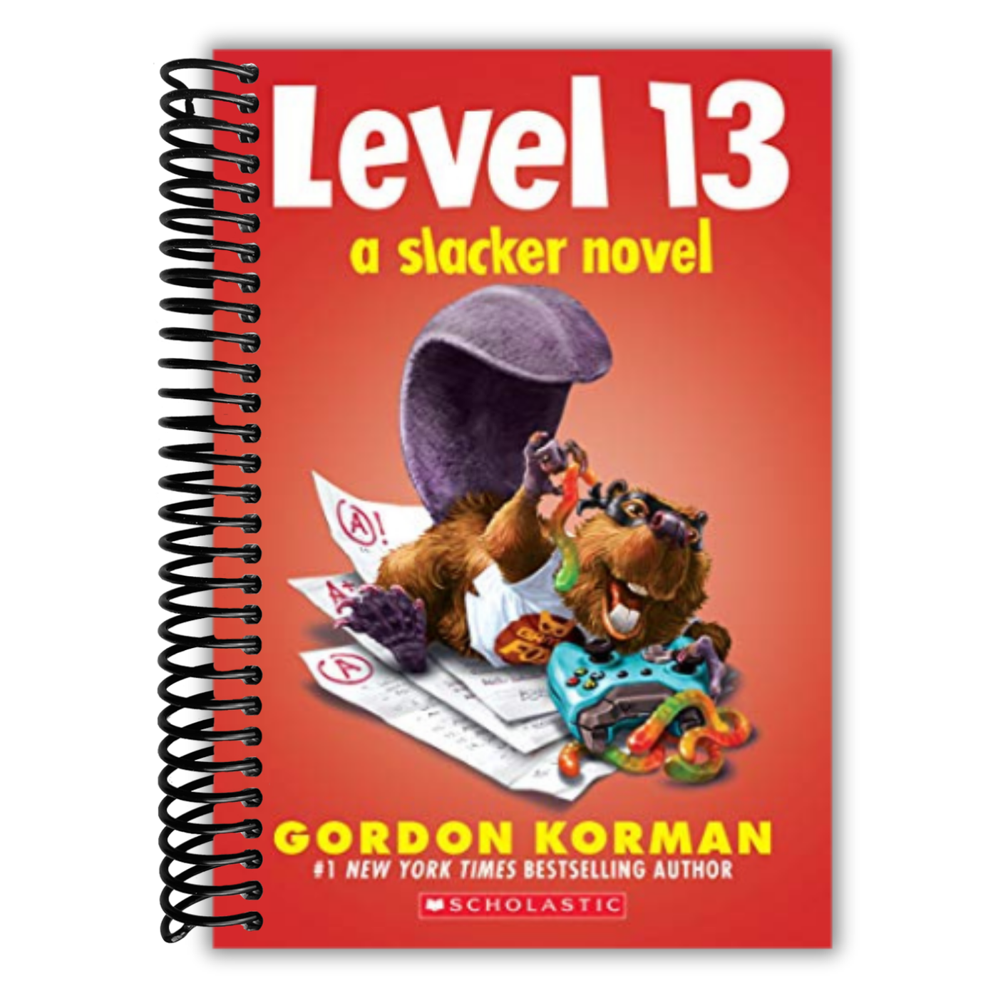 Level 13 (A Slacker Novel)