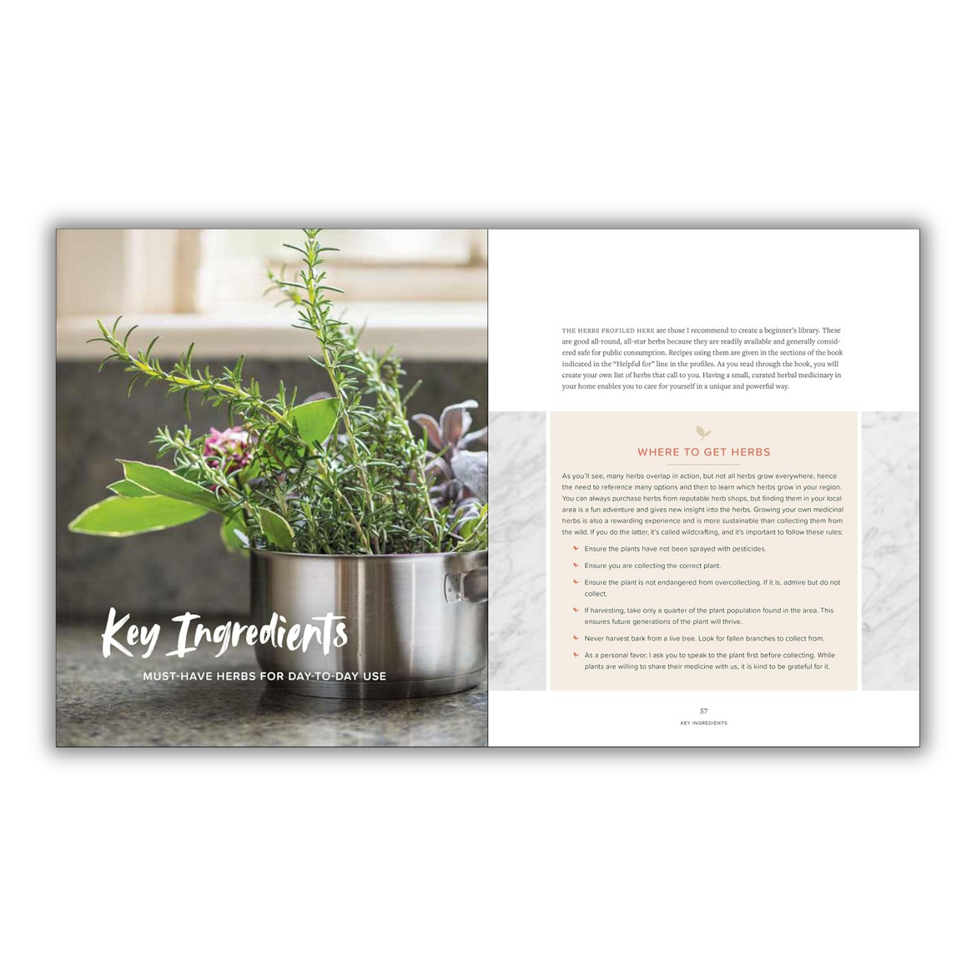 Page 57: Key Ingredients - Must Have Herbs for Day-To-Day Use