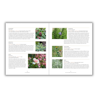 Pages 72 to 73: Different Types of Herbs