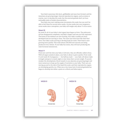 Page 127: Week 10 to Week 11 of the Fetus Inside the Womb