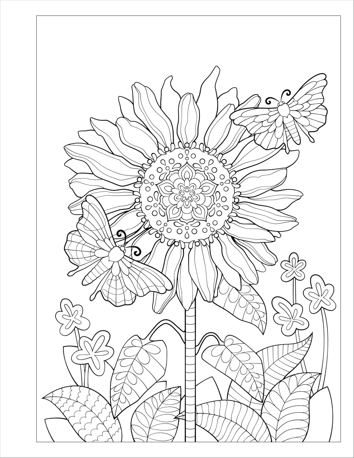 Flower