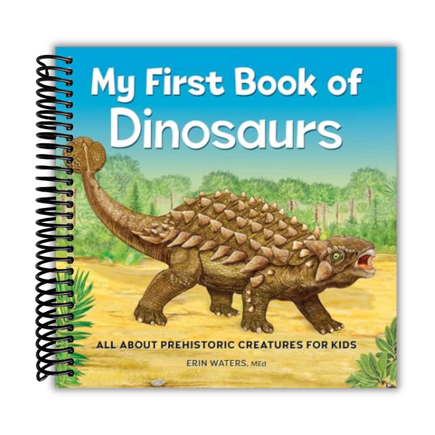 my-first-book-of-dinosaurs-all-about-prehistoric-creatures-for-kids