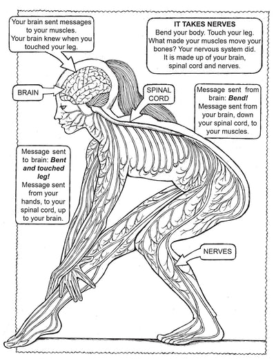 It Takes Nerves